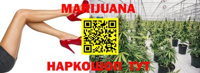 стафф Будённовск