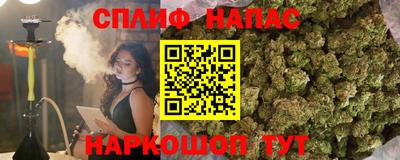 стафф Будённовск