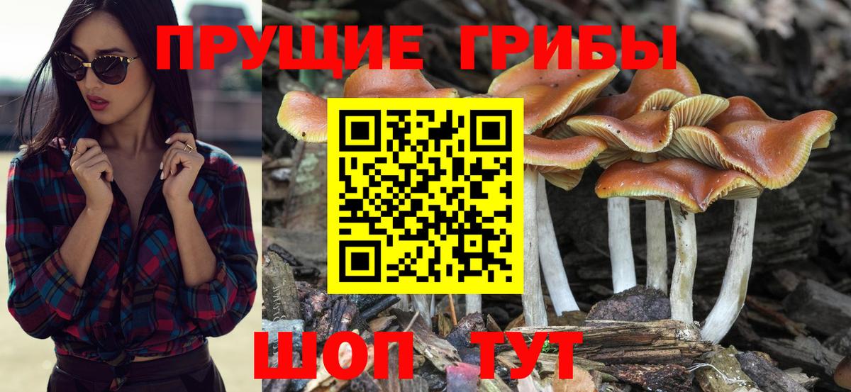 Галлюциногенные грибы ЛСД Мончегорск