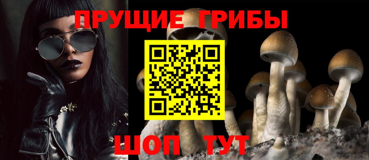наркошоп  Псилоцибиновые грибы мицелий  Вход с VPN  Мончегорск 